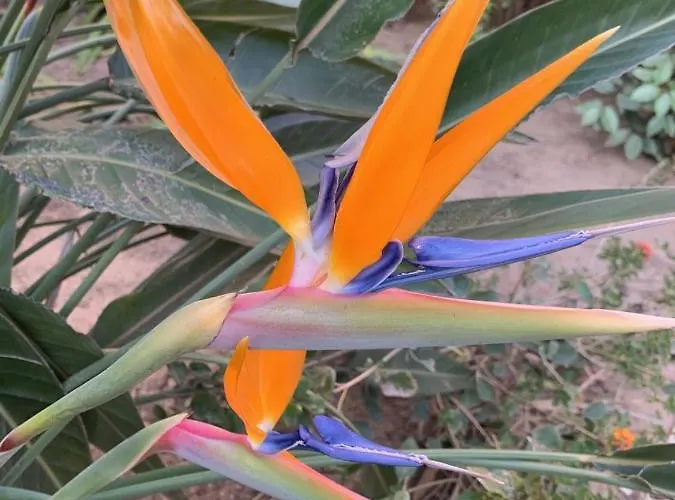 LA BADINE Appartement rénové Haut de game et Parc Prestations Premiumamme avec Climatisation Vue Pisc Aparthotel Hyères