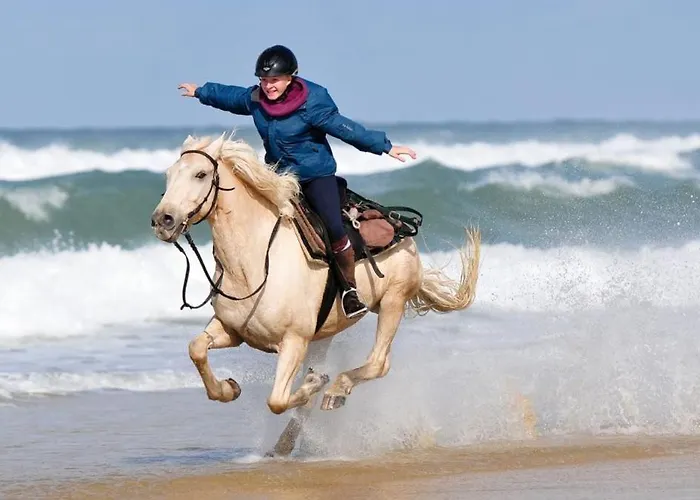 LA BADINE Appartement rénové Haut de game et Parc Prestations Premiumamme avec Climatisation Vue Pisc