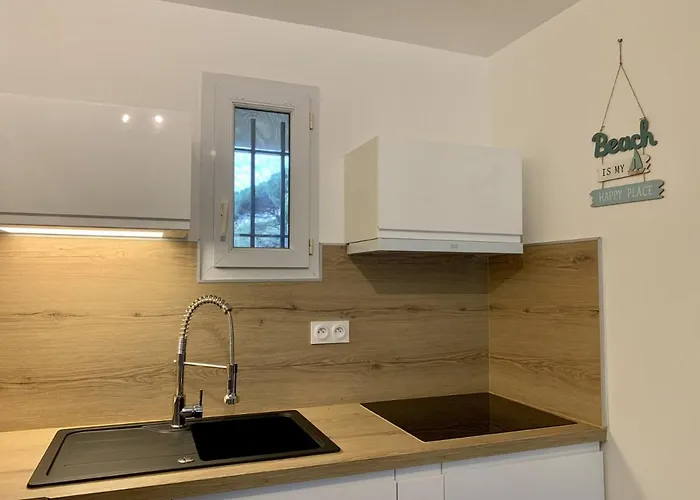 Apartmanhotel La Badine Appartement Renove Haut De Gamme Balneo Climatisation 4*