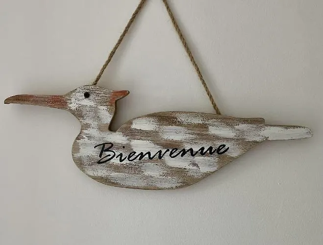 Apartmanhotel La Badine Appartement Renove Haut De Gamme Balneo Climatisation Hyères