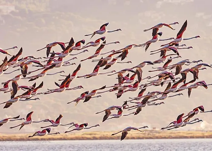 Apartmanhotel La Badine Appartement Renove Haut De Gamme Balneo Climatisation Hyères