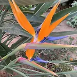 La Badine Renove De Gamme Balneo Climatisation Апарт-отель Йер