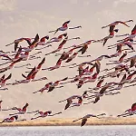 Апарт-отель La Badine Renove De Gamme Balneo Climatisation Йер