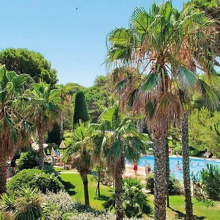 Appart hôtel La Badine 5p Piscine Clim Jacuzzi Parc Luxuriant Hyères