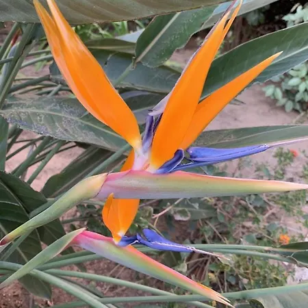 La Badine Clim Balneo Piscine Apart-hotel Hyères