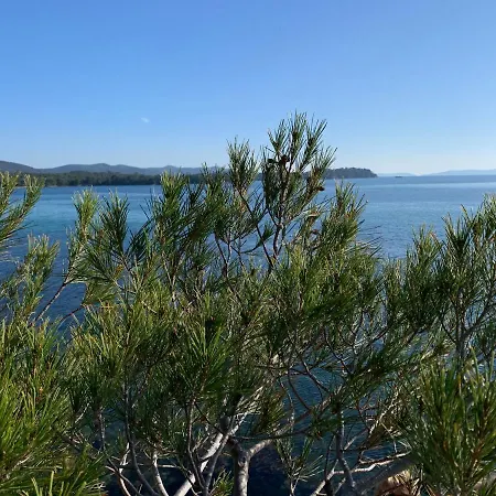 La Badine Clim Balneo Piscine شقة فندقية Hyères