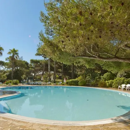 La Badine 5p Piscine Clim Jacuzzi Parc Luxuriant Hyères