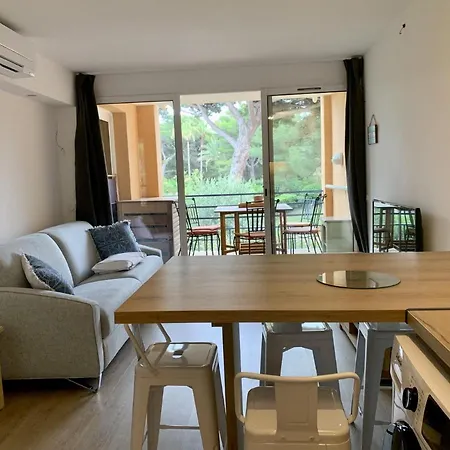 La Badine Appartement 5 Personnes Avec Balneo Et Clim Йер
