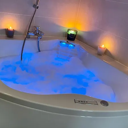 La Badine 5p Piscine Clim Jacuzzi Parc Luxuriant * Hyères