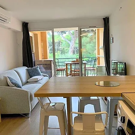 La Badine Appartement 5 Personnes Avec Balneo Et Clim Hyeres