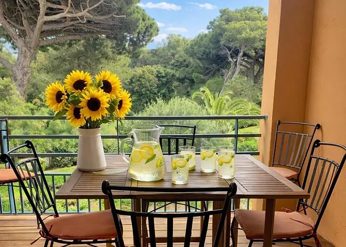 La Badine Acces Direct A La Clim Balneo Piscine Апарт-отель 4*